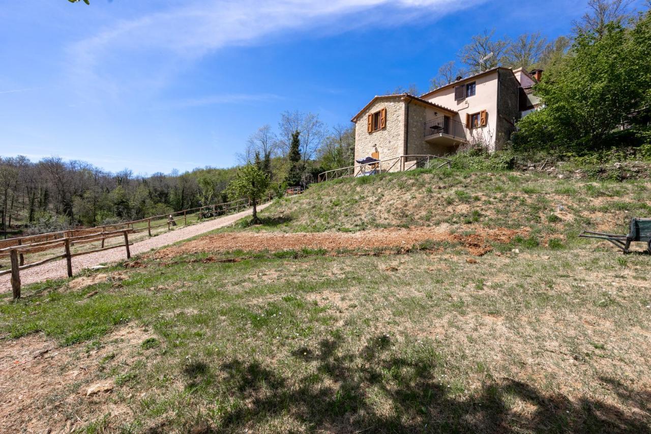 Podere Del Ciacchi Among Tuscany Greenery - Happy Rentals Montieri Eksteriør billede