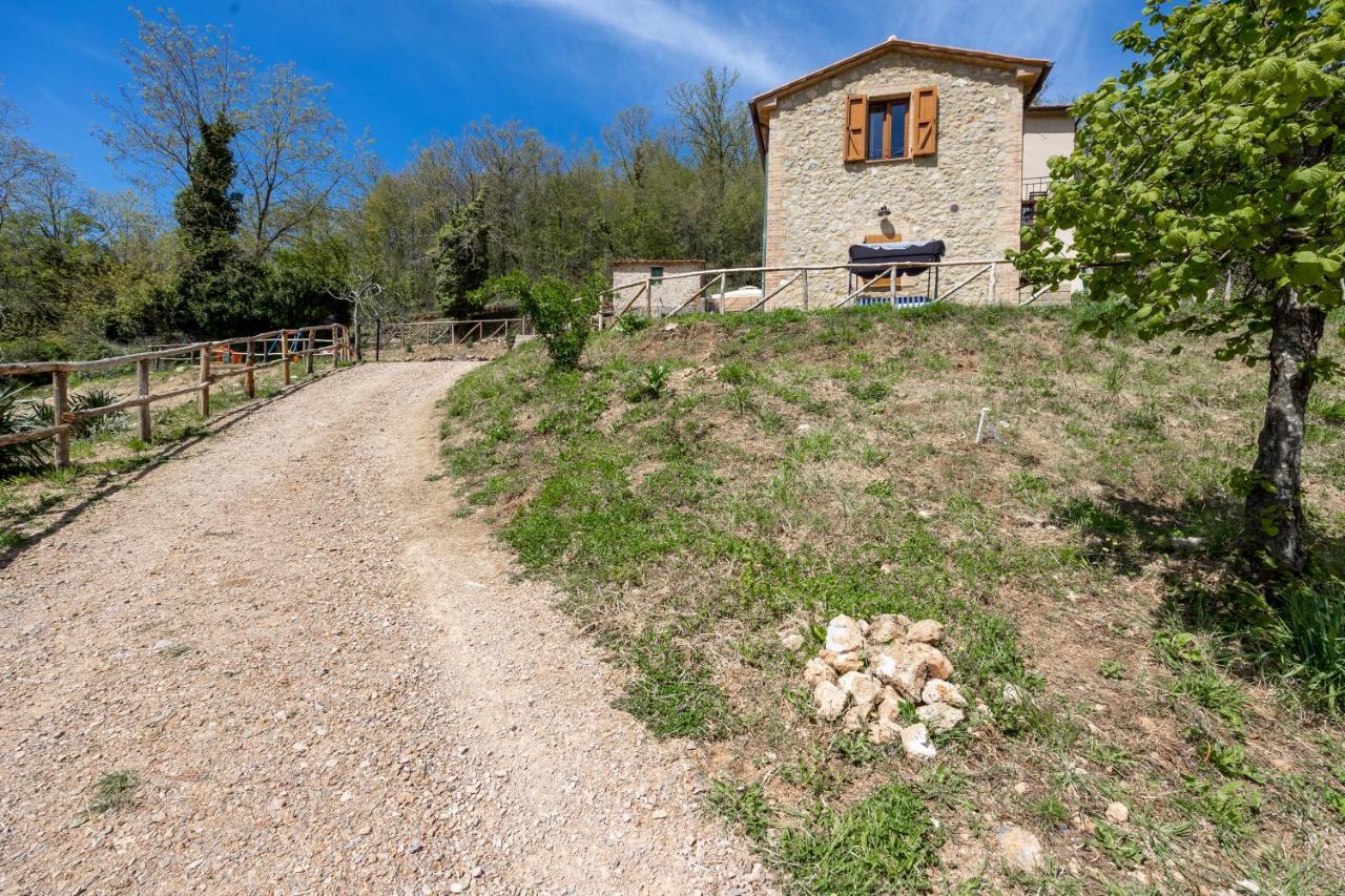 Podere Del Ciacchi Among Tuscany Greenery - Happy Rentals Montieri Eksteriør billede