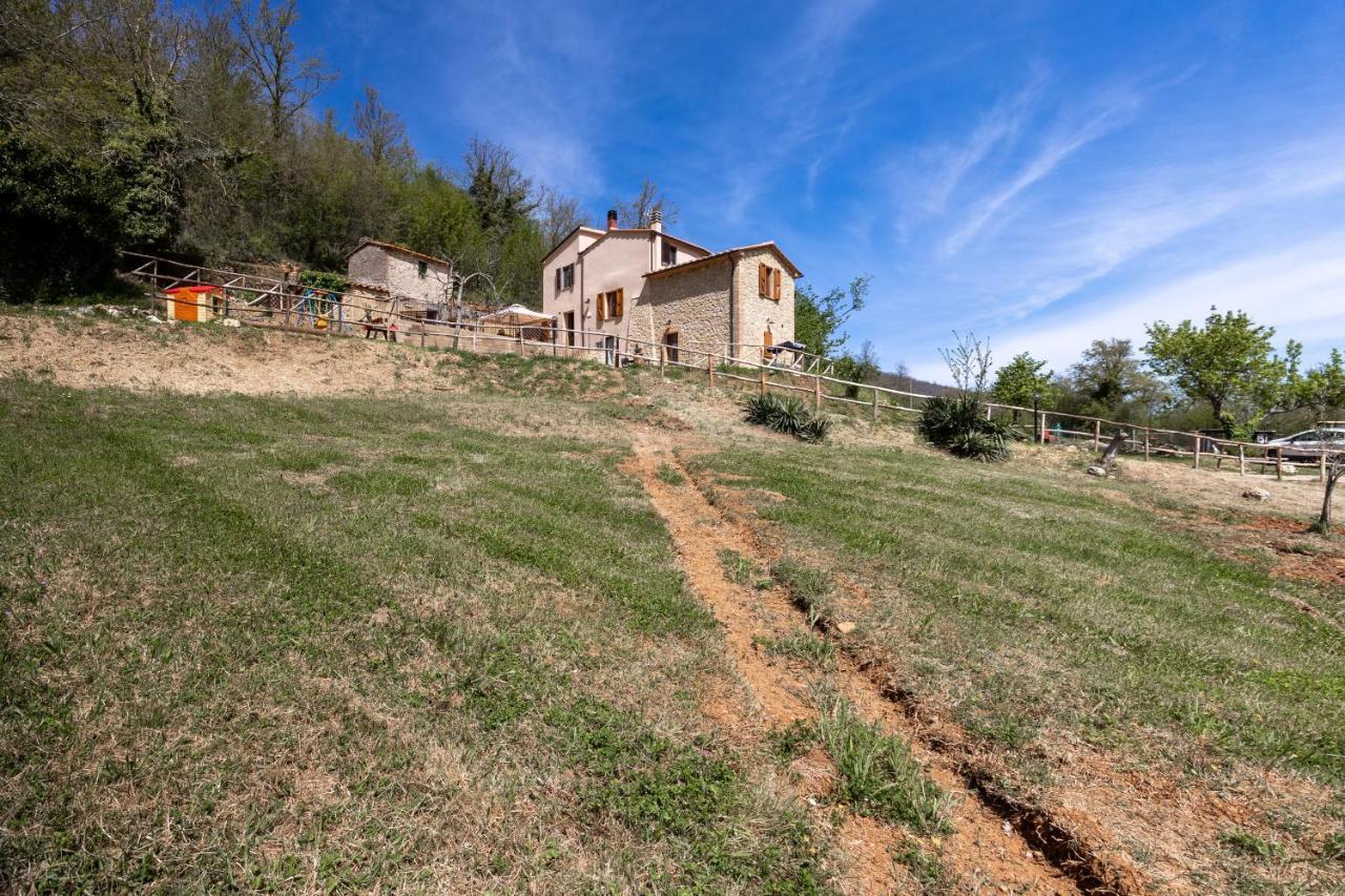 Podere Del Ciacchi Among Tuscany Greenery - Happy Rentals Montieri Eksteriør billede