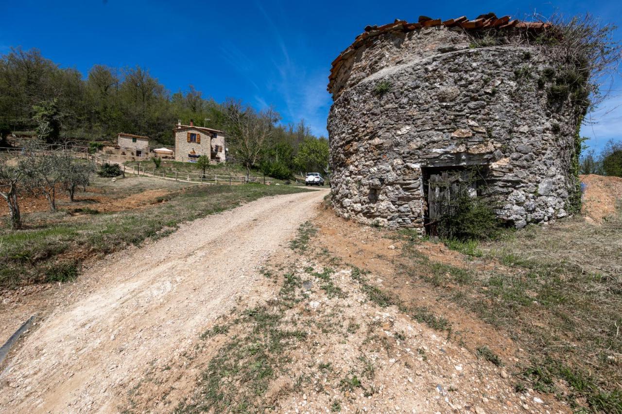 Podere Del Ciacchi Among Tuscany Greenery - Happy Rentals Montieri Eksteriør billede